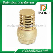 Yuhuan Casting Female Threaded 1 to 3inch With Brass Strainer brake pedal Foot Valve for water